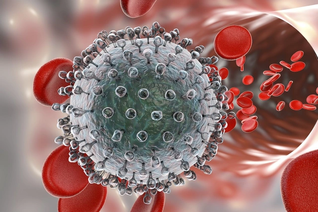 The Impact of Genotype 3 Chronic Hepatitis C on the Immune System